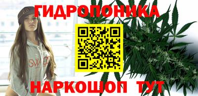 apvp Берёзовский