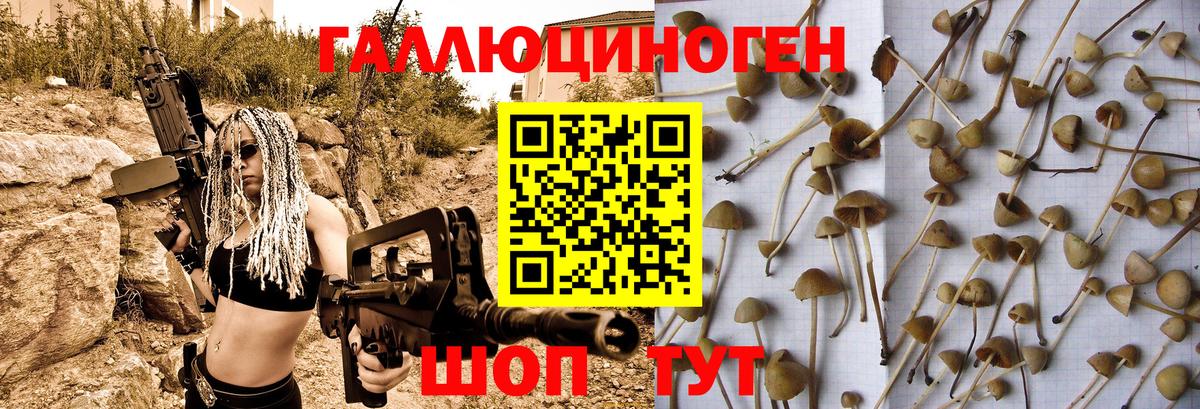 Галлюциногенные грибы мухоморы  Вход с VPN  Псилоцибиновые грибы прущие грибы  Каспийск 