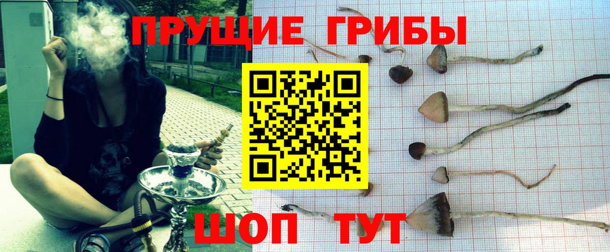 Галлюциногенные грибы мухоморы Каспийск